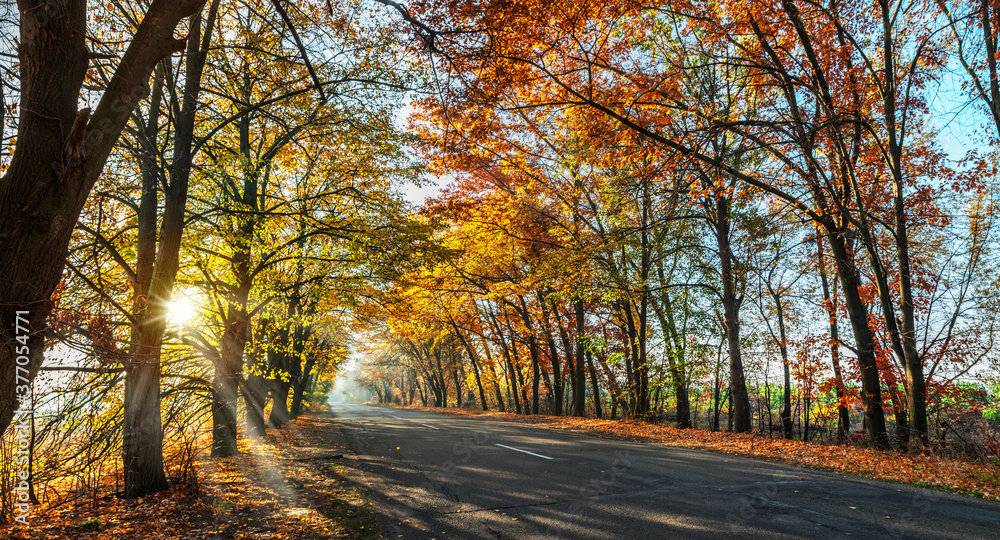 Beautiful autumn landscape with the road and the sun's rays of the setting sun. Beautiful autumn landscape with the road and the sun's rays of the setting sun.