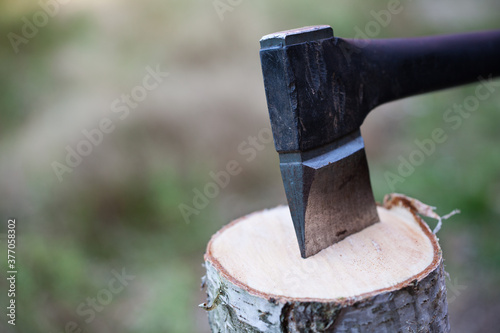 Fototapeta Naklejka Na Ścianę i Meble -  Siekiera wbita w sosnowy pieniek.