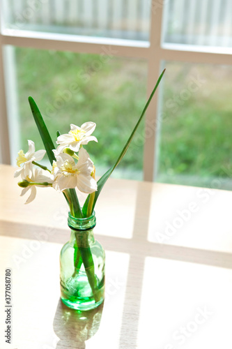 vase by the window