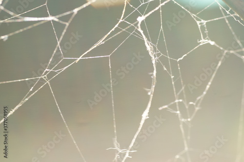 Abstract grey background with pieces of an old cobweb for helloween wallpaper