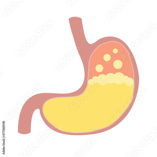 stomach with acid and gas inside vector
