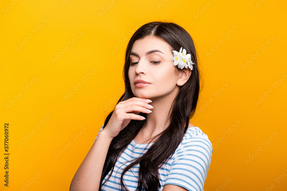 brunette young woman with flowers in hair isolated on yellow brunette young woman with flowers in hair isolated on yellow