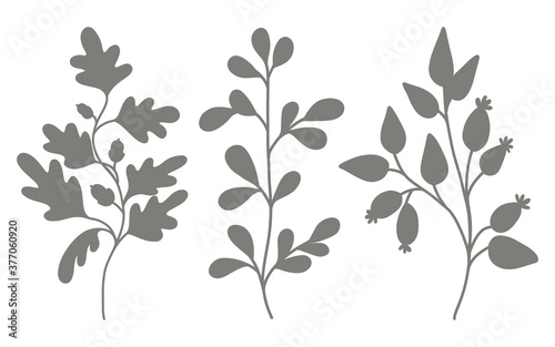 Silhouettes of forest leaves  plants. Perfect for invitations  greetings  cards  covers  posters  scrapbooking  posters  labels  stickers. Vector illustration isolated on white background.
