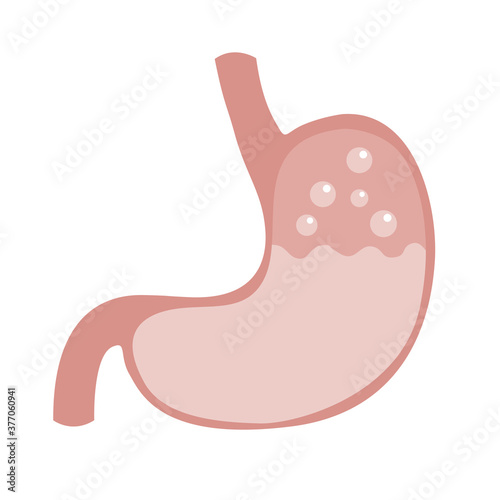 stomach with acid and gas inside vector