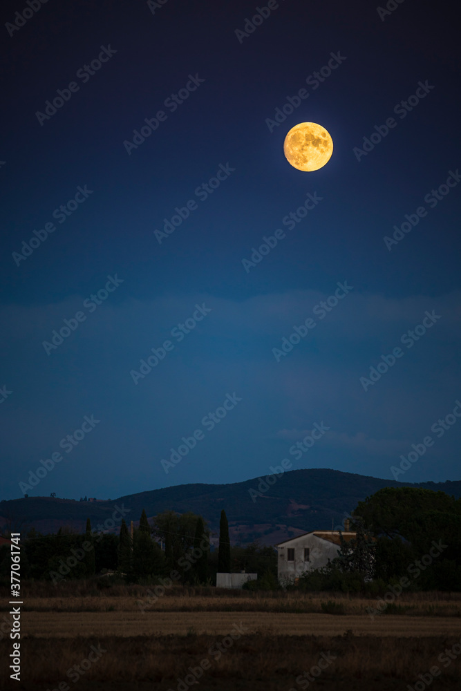 Country Night landscape with full moon, vertical. Maremma, Tuscany, Italy.