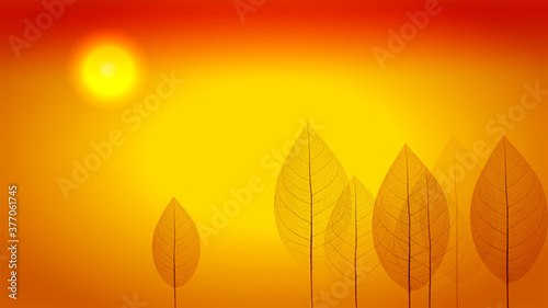 Autumn forest at sunset. Background with autumn leaves.