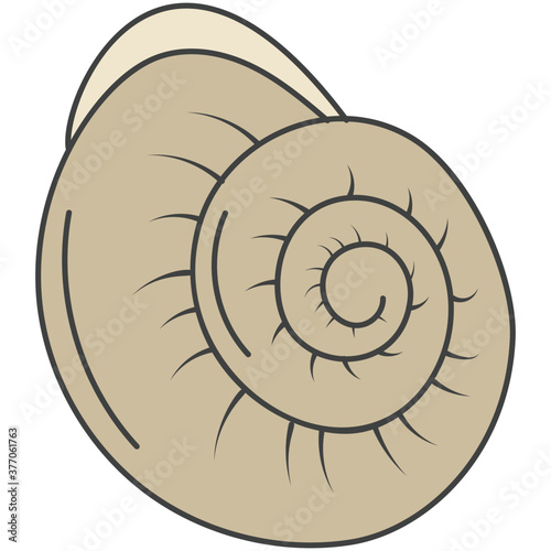 Snail 