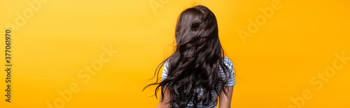 back view of wind blowing through brunette hair of woman with curls isolated on yellow, panoramic shot