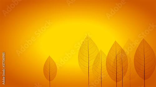 Autumn forest at sunset. Background with autumn leaves.