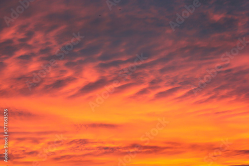 Dark orange clouds at sunset. © German S