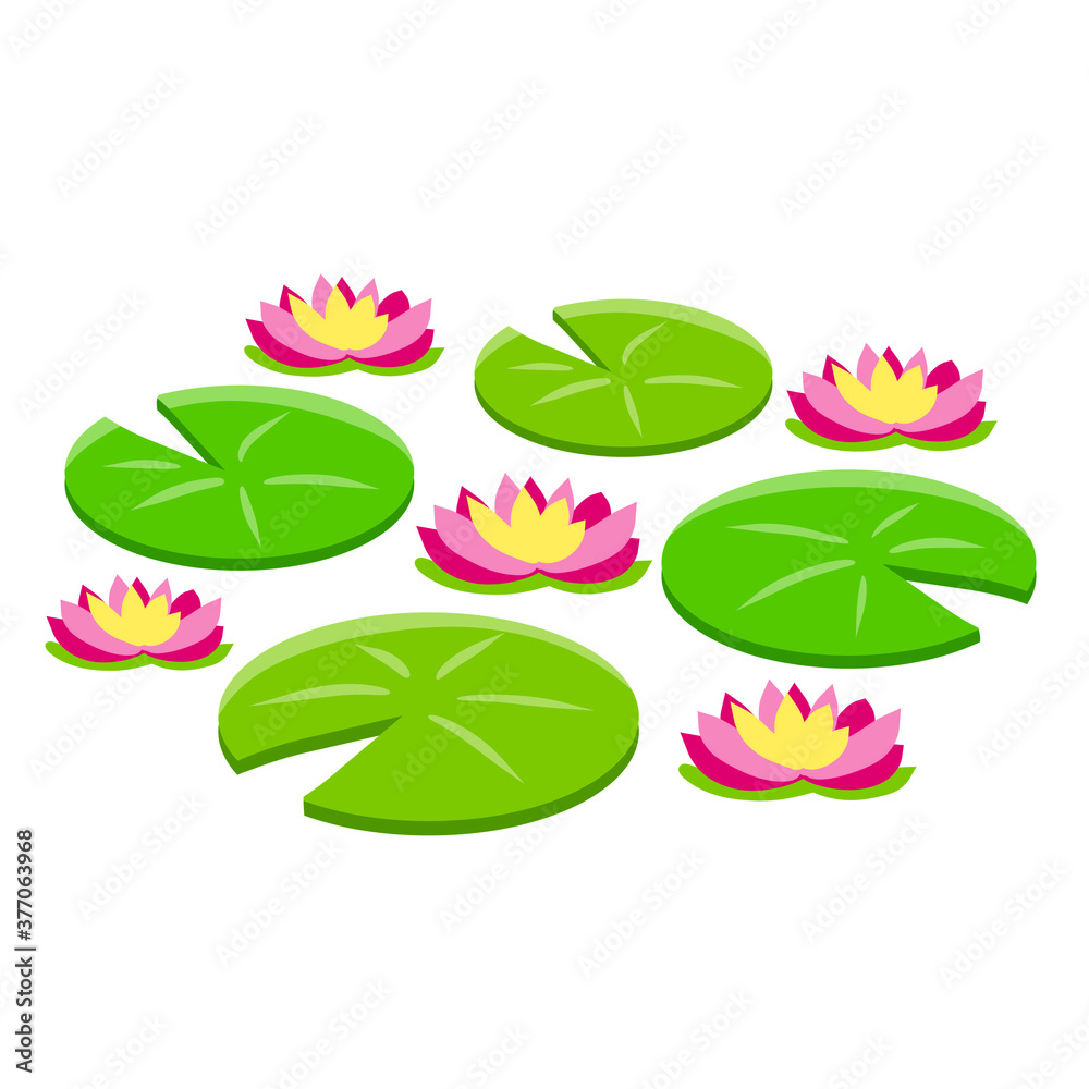 Water lily or lotus. Plant on lake and pond. Big green leaf. Element of  nature, forest and wild life. Swamp Pink flowers. Flat cartoon. Nenuphars.  Stock Vector | Adobe Stock