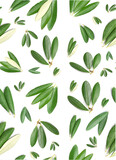  Backgrounds.Pattern of olives leaves isolated on white backgrounds.