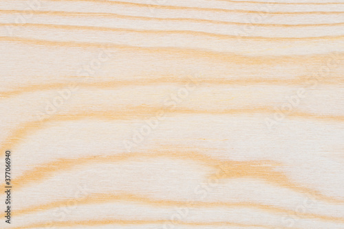 Close up natural surface wooden texture background. Elegant Design with Copy Space for placement your text or use as background