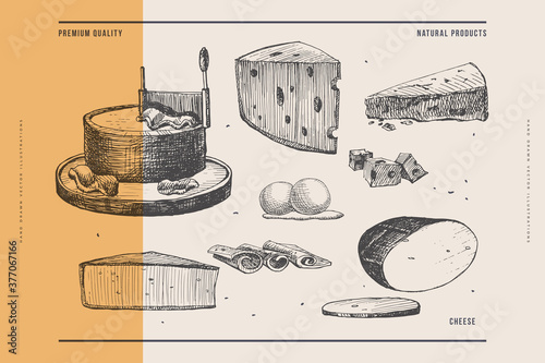 Hand-drawn types of cheese on light background. Piece of Camembert, slices of smoked cheese, and knife-girolle. Retro image for menu of restaurants, markets and shops. Vector illustration.