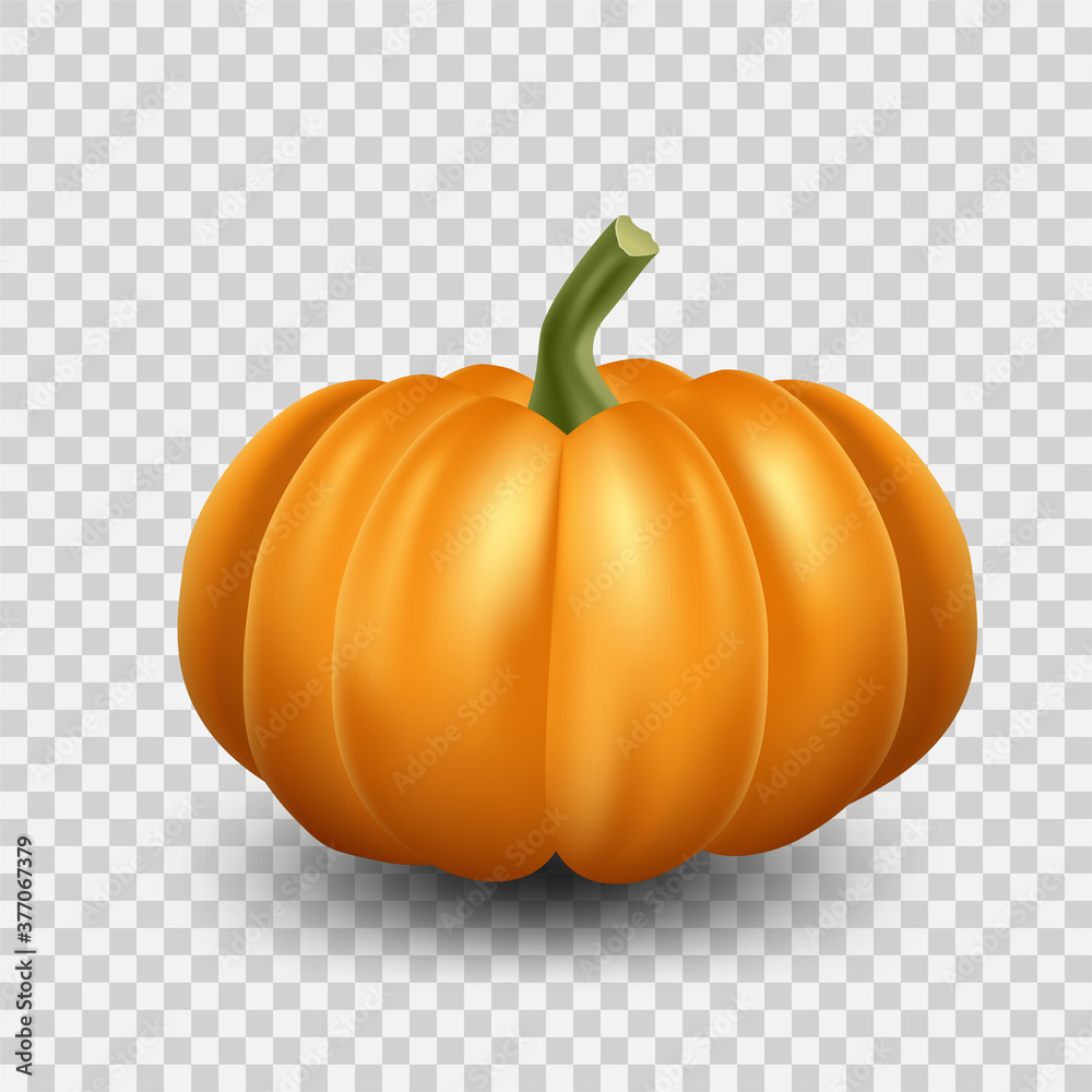 Realistic orange pumpkin icon. Halloween scary pumpkin on transparent background. Realistic orange pumpkin icon. Halloween scary pumpkin on transparent background.