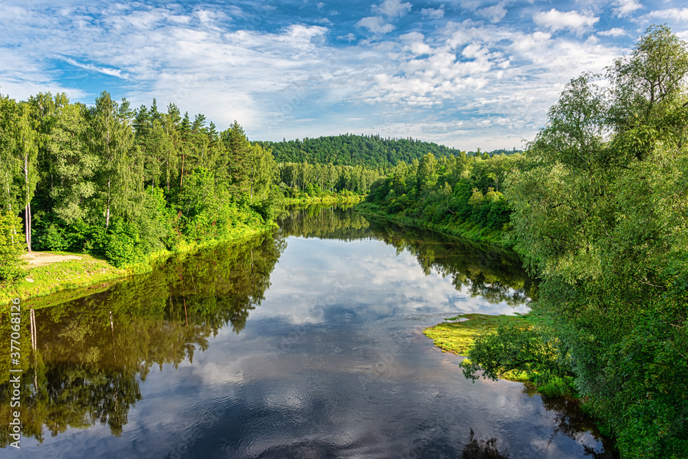 Moody forest with wide river Gauja in Latvia. Rain in forest Moody forest with wide river Gauja in Latvia. Rain in forest