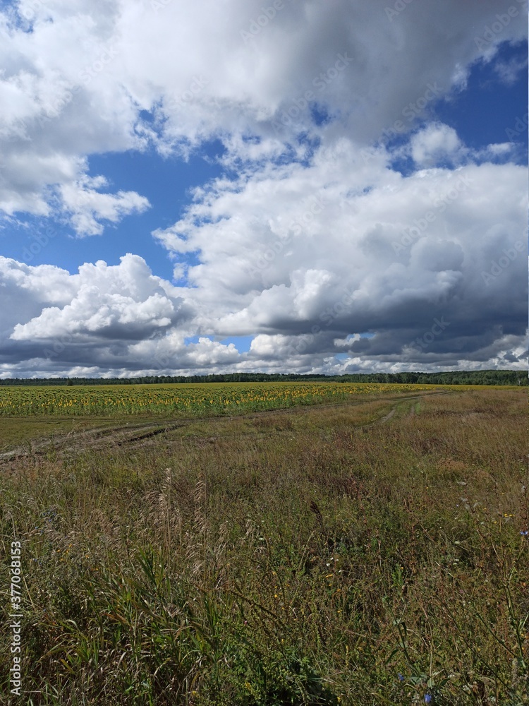 field against the sky with clouds