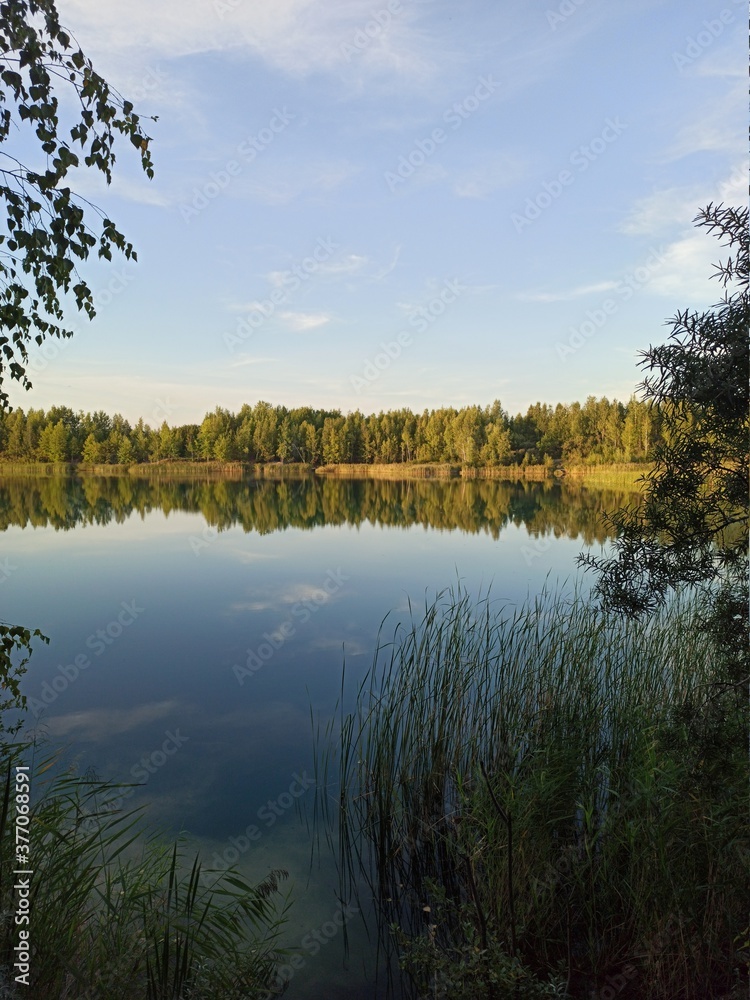 Fototapeta premium autumn in the park