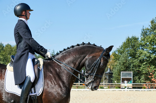 Rider in dressage competitions