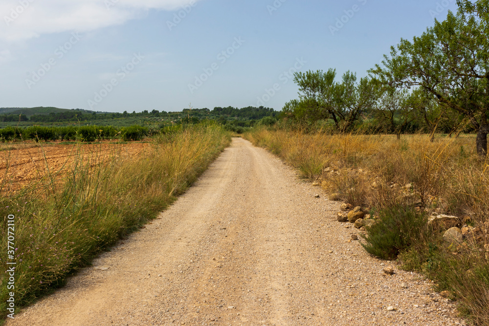 Landscape of the august way as it passes through Castellon Landscape of the august way as it passes through Castellon