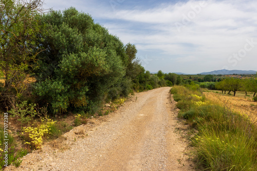 Landscape of the august way as it passes through Castellon