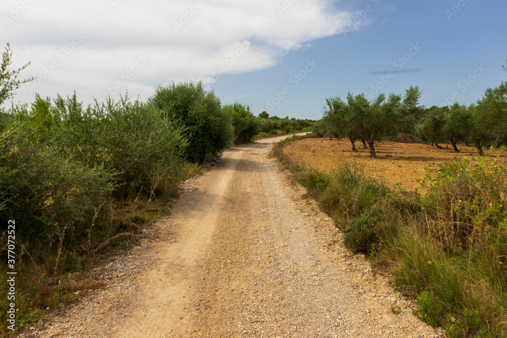Landscape of the august way as it passes through Castellon Landscape of the august way as it passes through Castellon