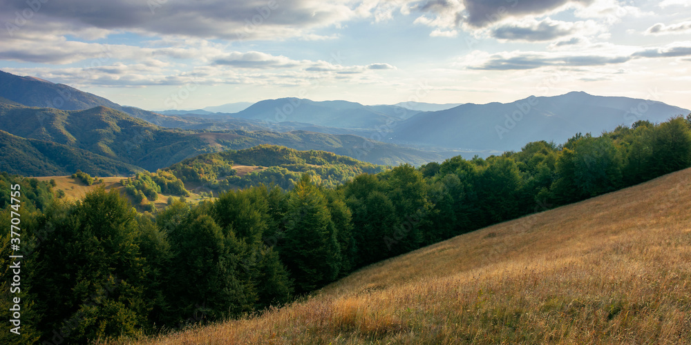 mountainous countryside in the afternoon. beautiful landscape of carpathians. valley of borzhava ridge in the distance. clouds on the sky. sunny weather
