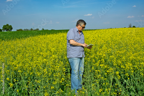 Agronomist inspecting quality of canola field