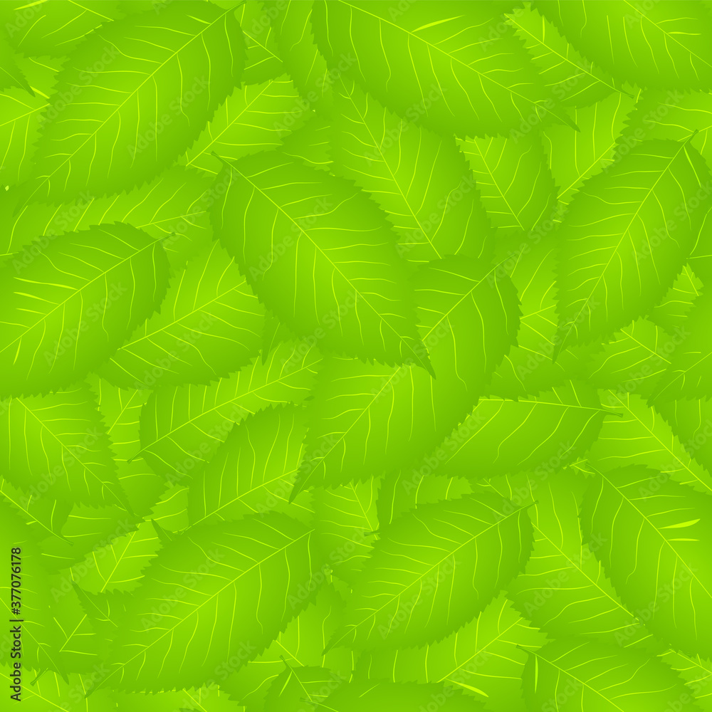 Vector illustration: Seamless pattern with cherry leaves.