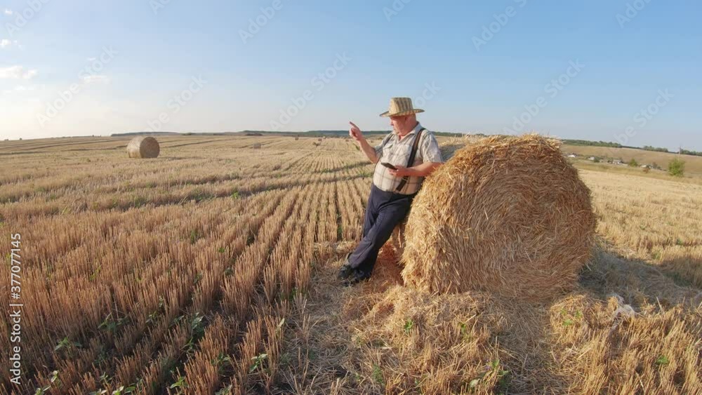 Old farmer uses tablet in the field next to haystack at sunset. Smart farming, using modern technologies in agriculture. Old farmer uses tablet in the field next to haystack at sunset. Smart farming, using modern technologies in agriculture.