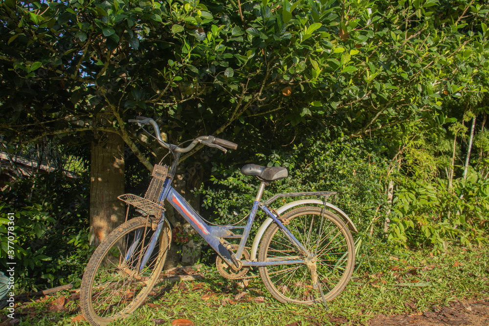 old bicycle in the park