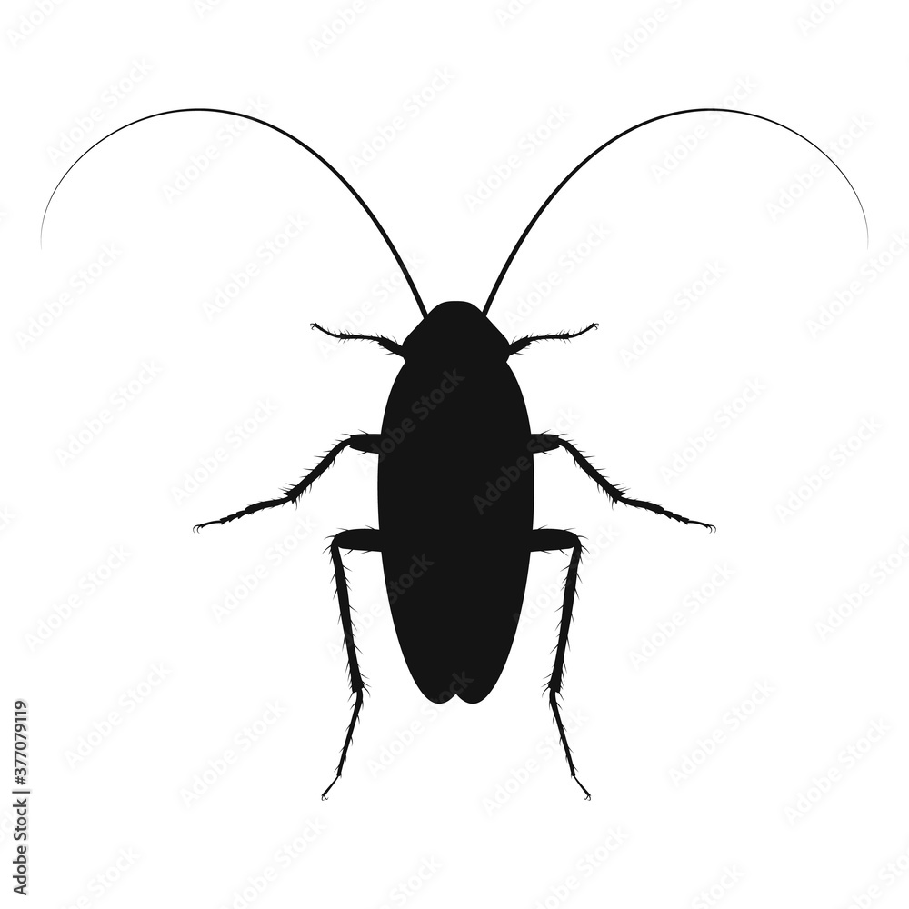 Cockroach vector logo in flat design. Black icon of cockroach. Cockroach vector logo in flat design. Black icon of cockroach.