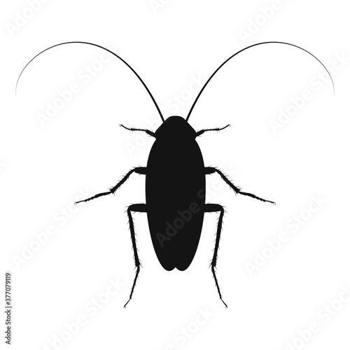 Cockroach vector logo in flat design. Black icon of cockroach.
