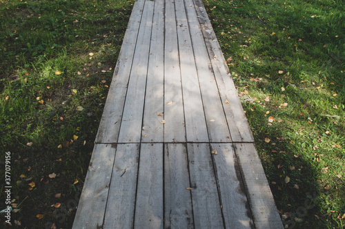 wood foot path in the summer forest 