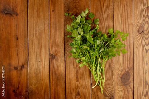 A bunch of green parsley on a wooden table background. Useful greenery and copy space.