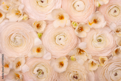 Light floral composition of natural fresh ranunculi and freesia in a pastel pink-cream colour.