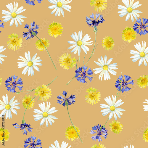 Seamless watercolor pattern of cornflowers  dandelions and daisies