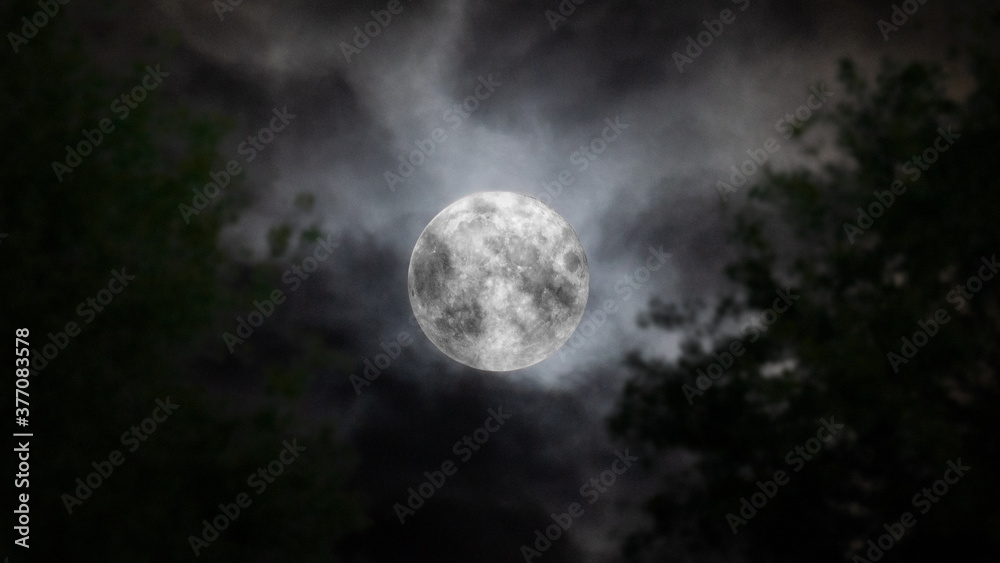 Full Moon behind the clouds and trees on the sky