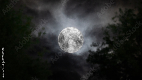 Full Moon behind the clouds and trees on the sky