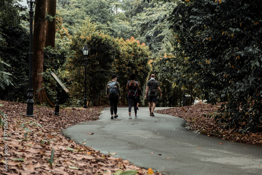 Fototapeta premium walk in the park