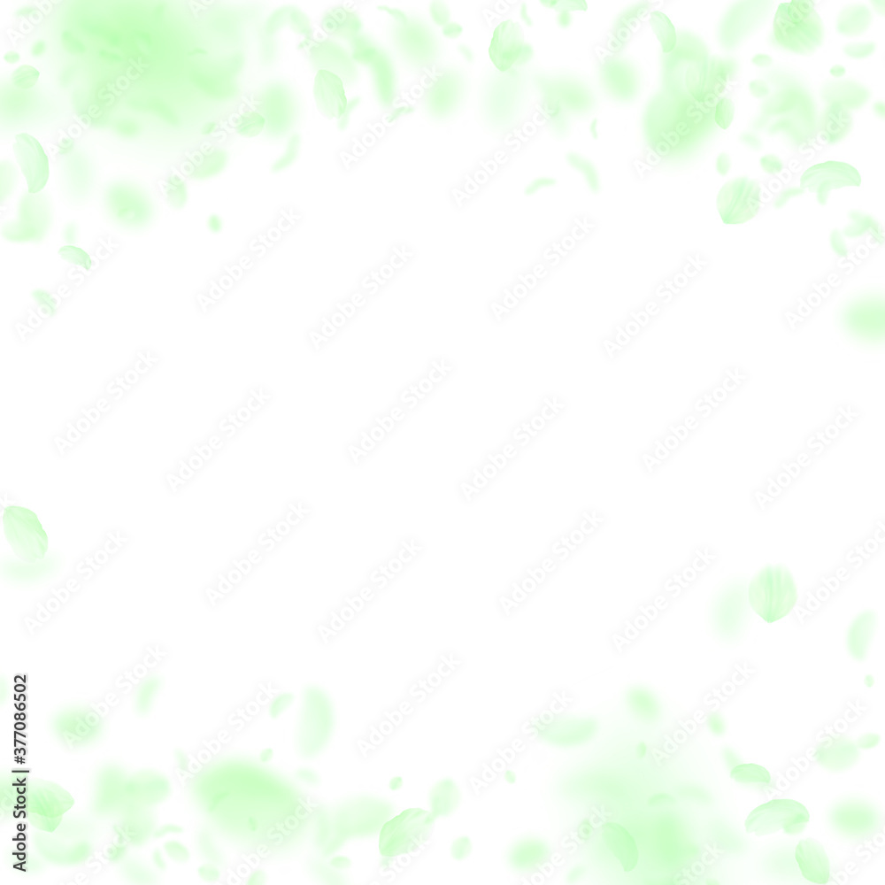 Green flower petals falling down. Overwhelming rom Green flower petals falling down. Overwhelming rom