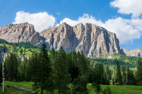 Panorama picture of a typical Alpine landscape in the Italian Alps: green pastures are surrounded by fir trees and high Dolomite peaks are visible in far distance. Val Badia, South Tyrol, Italy