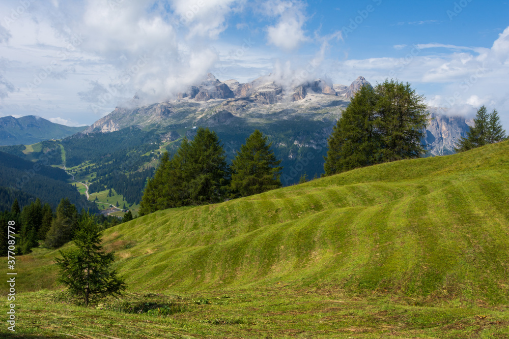 Recently harvested grass in a green field creates lines disposed in a perfectly aligned manner. High peaks of Lagazuoi mountain group in the Italian Alps are visible in the background.