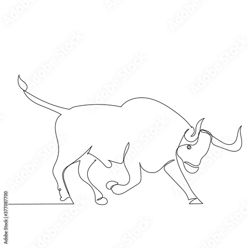 isolated  continuous line drawing  sketch bull