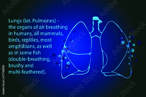 Lungs. Silhouette of internal organs. Medical banner.