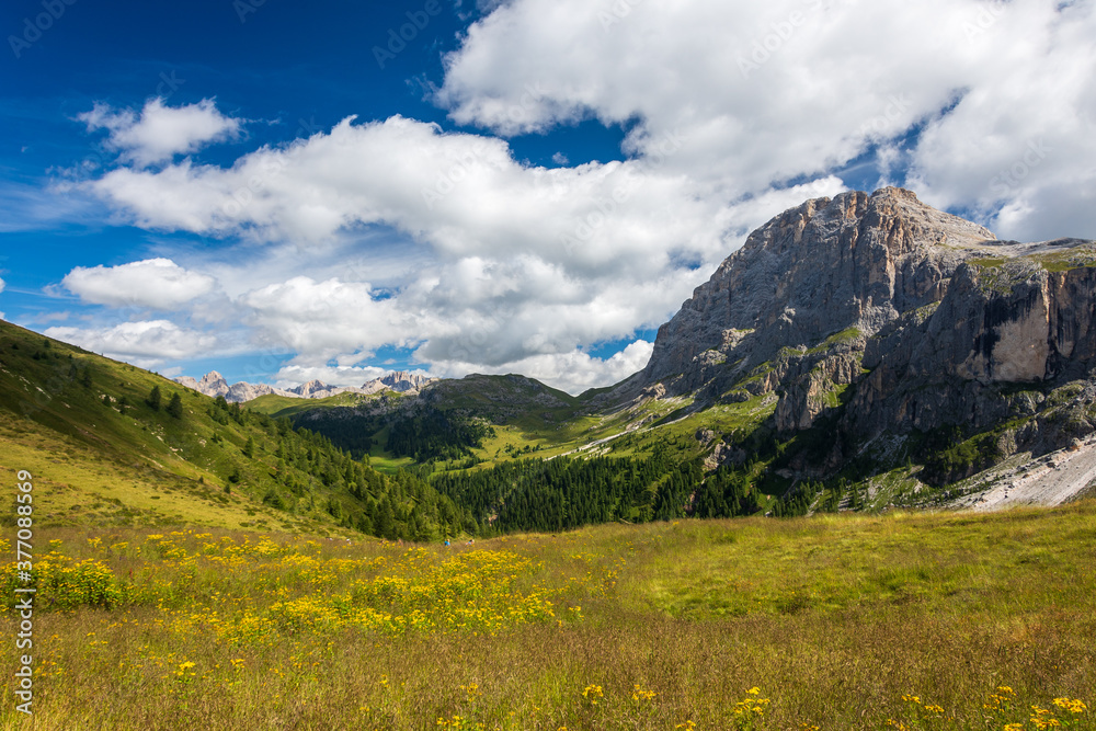 Panorama picture of a typical Alpine landscape in the Italian Alps: green pastures with wildflowers are surrounded by high Dolomite peaks visible in far distance. Val Venegia, Trentino, Italy