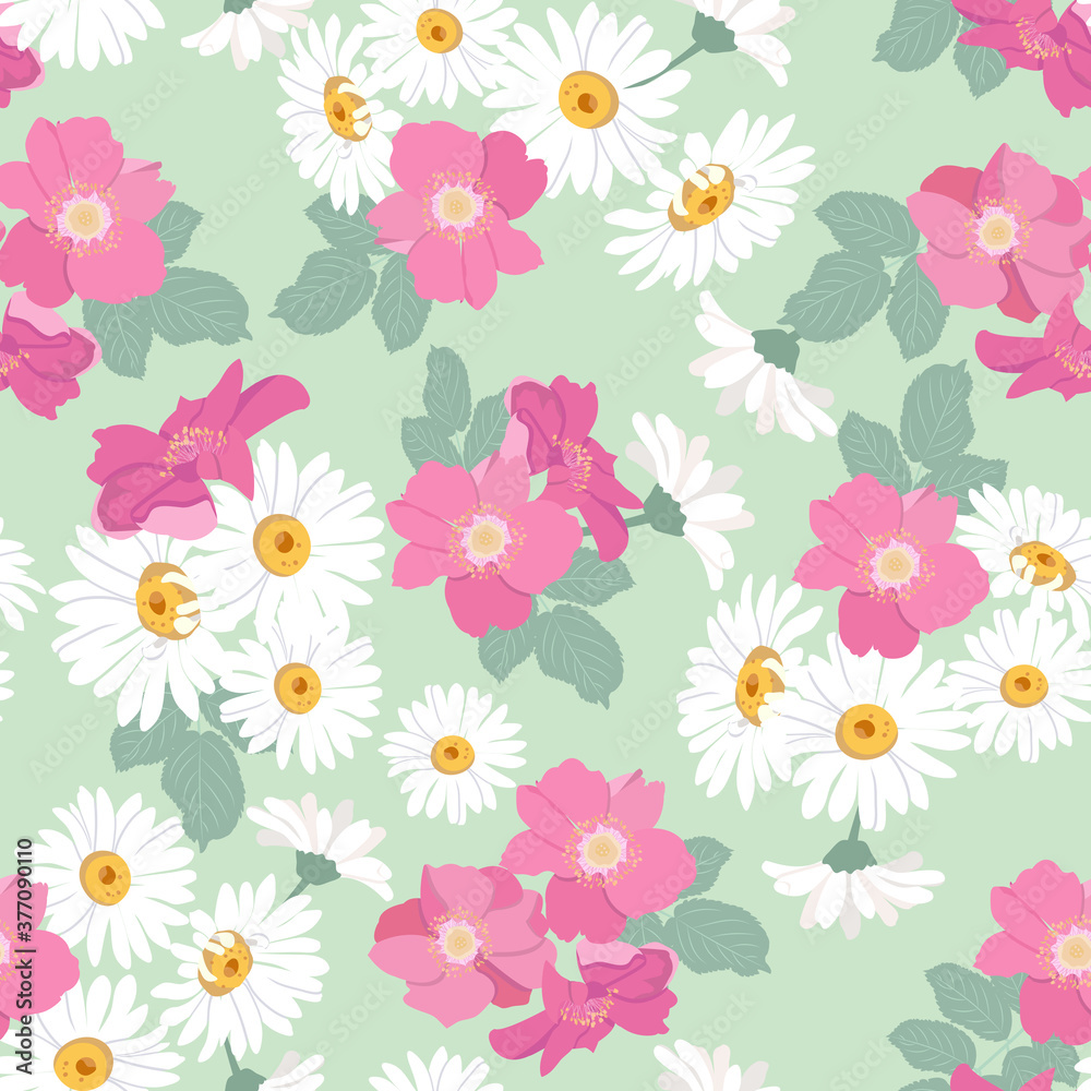 Seamless vector illustration with flowers of wild rose and chamomile