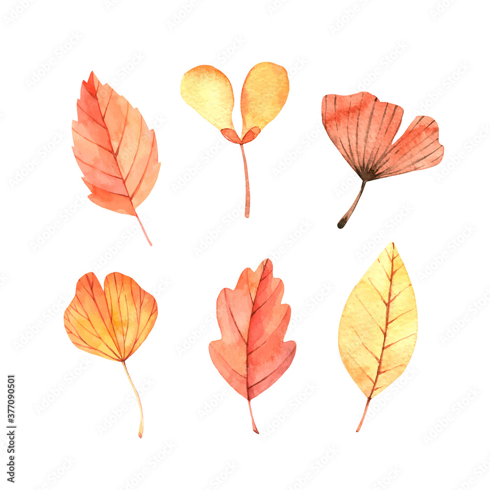 Obraz premium Hand drawn watercolor vector illustrations. Autumn Botanical clipart. Fall leaves, herbs and branches. Floral Design elements. Perfect for invitations, greeting cards, blogs, posters, prints