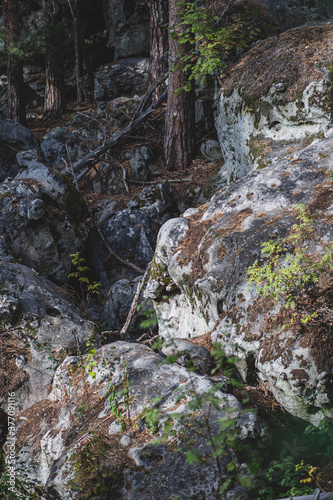 September in forest