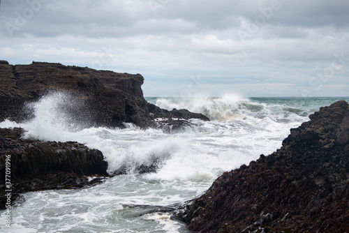 Huge waves crashing against the rocks at Piha beach  Waitakere  New Zealand